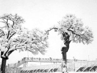 Glavni kolodvor - Trnjanski pješački nathodnik 1958. godine